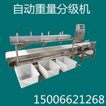 Chicken Sorting Scale Belt Classifier Weight Detector Sorting Machine Poultry Slaughtering Automatic Weighing Weight Sorter