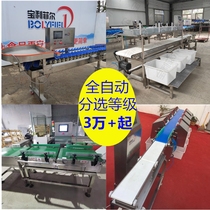 Fruit weight sorting machine size running water automatic electronic machine weighing oyster sorting machine sea cucumber sorting machine