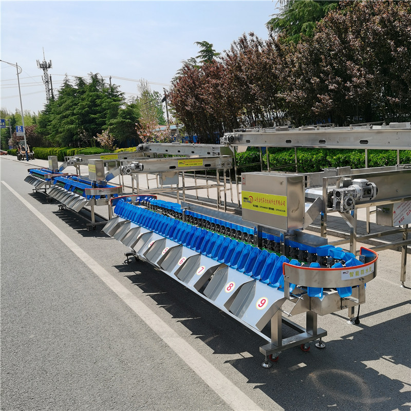 Fish Sorting Machine Weight Salmon Sorting Machine Size Grade Online Dynamic Scale Cordyceps Sorting Machine