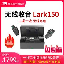 Mammoth Lark150 Mammoth Wireless Microphone SLR Camera Lavalier Microphone Little Bee Mini Radio Chest Microphone