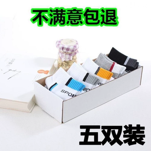 Утепленный лонгслив, тонкие ультратонкие носки, осенняя