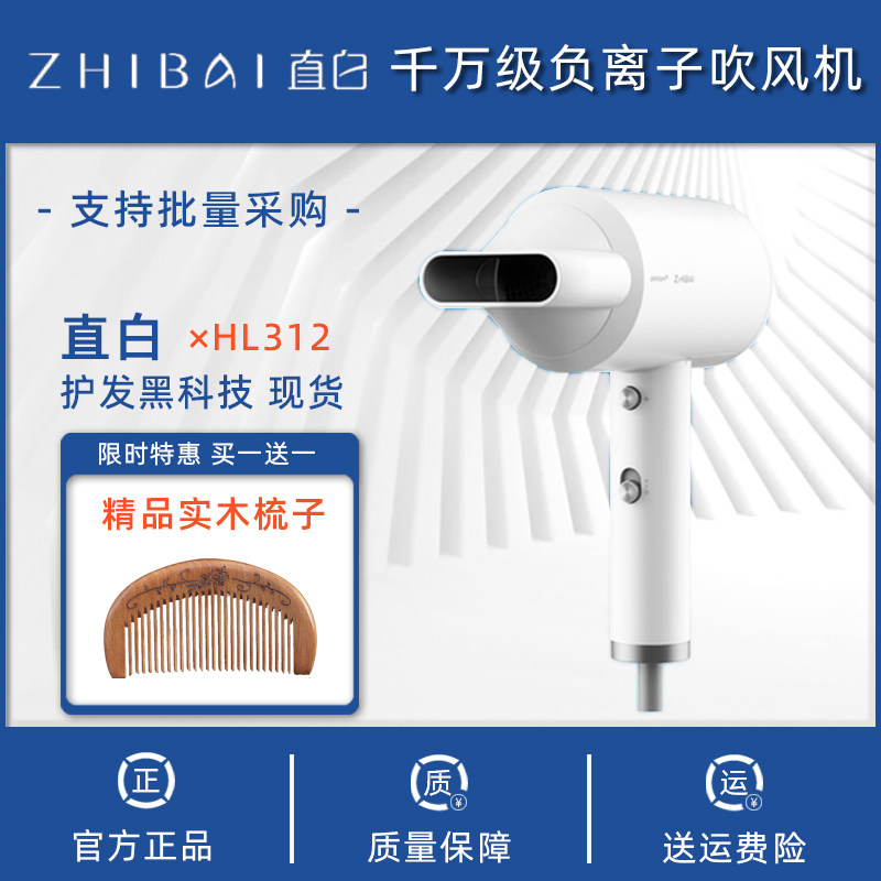 Straight White Hair Dryer HL312 Home High Power Hairdryer Negative big Wind Enterprise Gift customized hair care