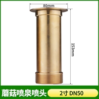 Гриб 2 -кишка внешняя нить