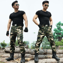 Outdoor mens color pants military fan overalls trousers tactical pants mens and womens military pants breathable scratch-resistant and wear-resistant training pants