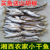 Small dried fish Hunan Xiangxi Source Mausoleum Fish Salty Fish Block Dry Goods Small Fish Tsai