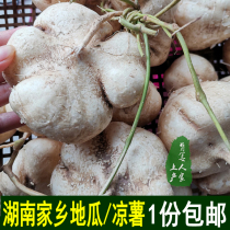 Cool Department White Sweet Potato 5 Jin Fresh Farmhouse Self-grown Cool Summer White Sweet Potato Hunan Xiangxi Yuanling Special Products Hubei Liang Potato