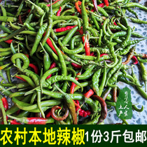 Fresh pepper Hunan Huaihua Yuanling hometown specialty seasonal vegetables