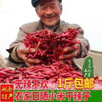 Xiaomi Spicy Hunan Origin Mausoleum Full of Star Dry Hot Chili Hot Spicy Red Spicy spicy Non-Sichuan Trinatal 500 gr