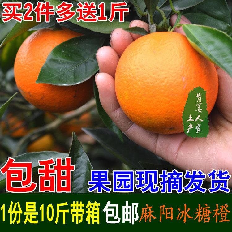 Hemp Yang Icing Sugar Orange Hunan Special Produce Sweet Orange Fresh Fruit Now Remove Now Hair with box 10 kilos Non Gannavel Orange