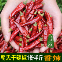 Spicy and special fragrant millet spicy chili peppers seven star peppers Guizhou dried peppers are better than Sichuan chili 250g