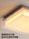 Ji Yutang Bauhaus Bedroom Light French Retro Style Eye Protection Creative Internet Celebrity Master Bedroom Study Square Ceiling Light