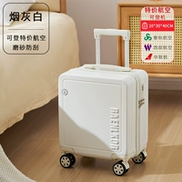 Серый дым (устойчивый к царапинам и износу) [может быть забронирован в недорогих авиакомпании]