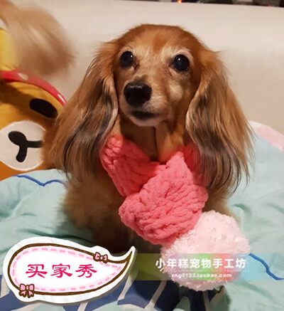 Bánh gạo nhỏ độc quyền quần áo thú cưng Teddy mèo dog handmade len kẹo màu trái tim quả bóng khăn quàng - Quần áo & phụ kiện thú cưng quần áo cho mèo con