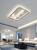 Living room suction ceiling light extravagant atmosphere minimalist modern smart bedroom 2022 New lamps