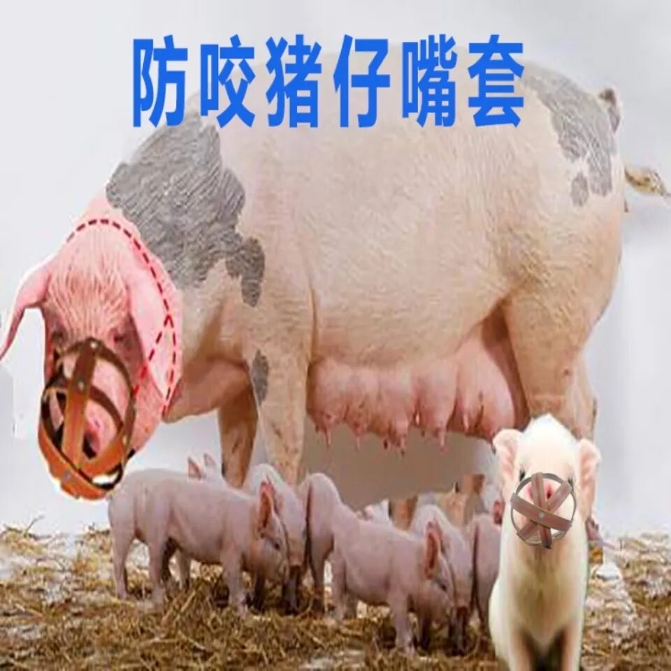 Pig mouth set sow anti-bite set pig mouth cage set pig mouth piglet feeding artifact cow sheep dog horse pig special set