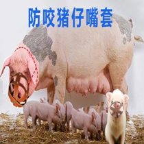 Pig mouth cover sow anti-biting cover pig mouth cage cover pig mouth piglet feeding artifact special cover for cattle sheep dogs horses and pigs