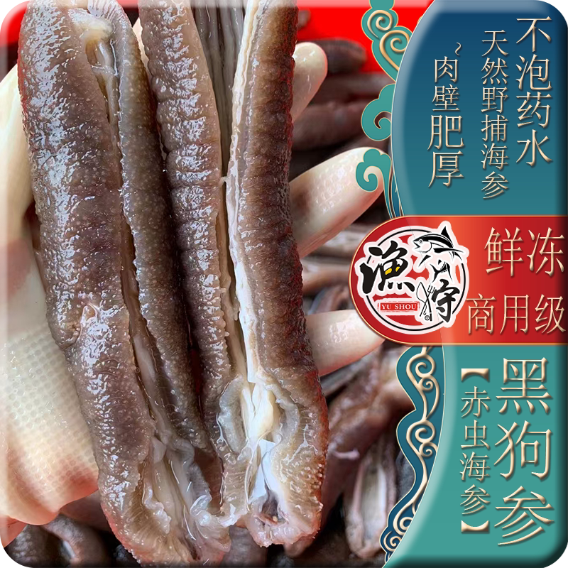 黑狗参VS黑虎参,赤虫参新宠,西沙海参的神秘力量!🌊 -海参-淘宝百科网