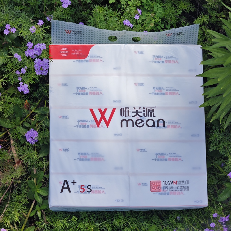 Meimeiyuan 460 Tissue Paper 155X190Mm Large Size 5-Layer Thickened 10 Packs 1 Pack Dry and Wet Dual-Use Napkin Toilet Paper