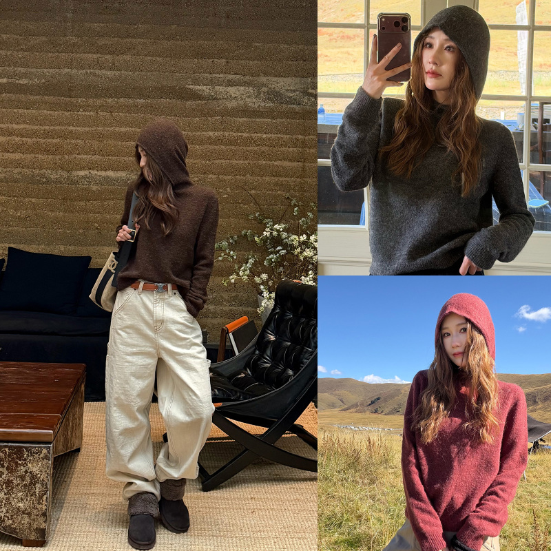 Hehe's New Autumn and Winter Wool-Blend Fabric Fashionable and Versatile Hooded Sweater Ph3975