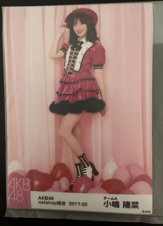 清仓中AKB48 2017.02 小嶋阳菜netshop 个别set