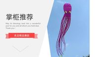 Large software frameless three-dimensional single-mouth octopus pendant and single-flying 30D nylon umbrella cloth soft kite