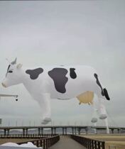 2020 new large soft adult pendant kite Cow kite Festival kite exhibition Custom kite