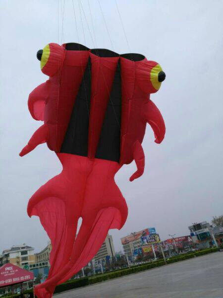 Zaozhuang Fei Yue Soft Kite Factory store Original goldfish 30D fabric soft stereo kite produced self - sales