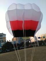 Large bread pilot soft kite Adult easy-to-fly skeleton-free three-dimensional kite