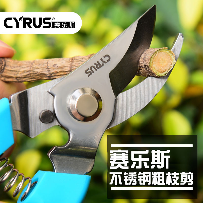 Gardening scissors Pruning scissors Fruit tree flower art pruning coarse branch scissors Household bonsai tools Fruit grape flower scissors scissors