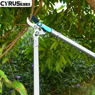 Pruning branch scissors, fruit tree scissors, strong thick branch scissors, pruning scissors, gardening garden scissors, strong scissors, high-altitude scissors