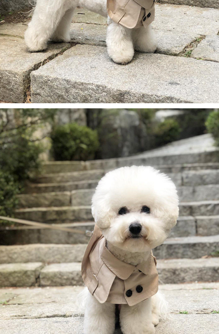 товар из китая 泰迪比熊柯基法斗英伦风绑带卖萌口水巾狗狗围脖 狗狗风衣斗篷 Other