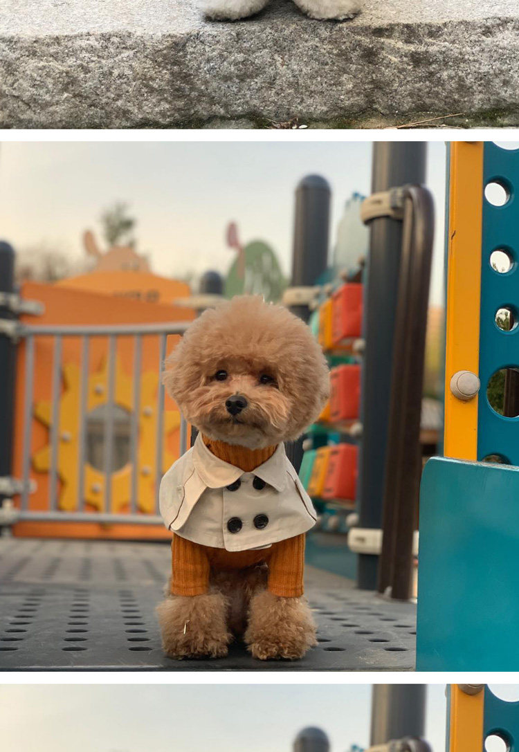 товар из китая 泰迪比熊柯基法斗英伦风绑带卖萌口水巾狗狗围脖 狗狗风衣斗篷 Other