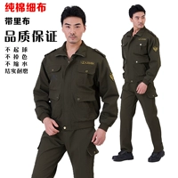 Военный зеленый 【с подкладкой】 Set