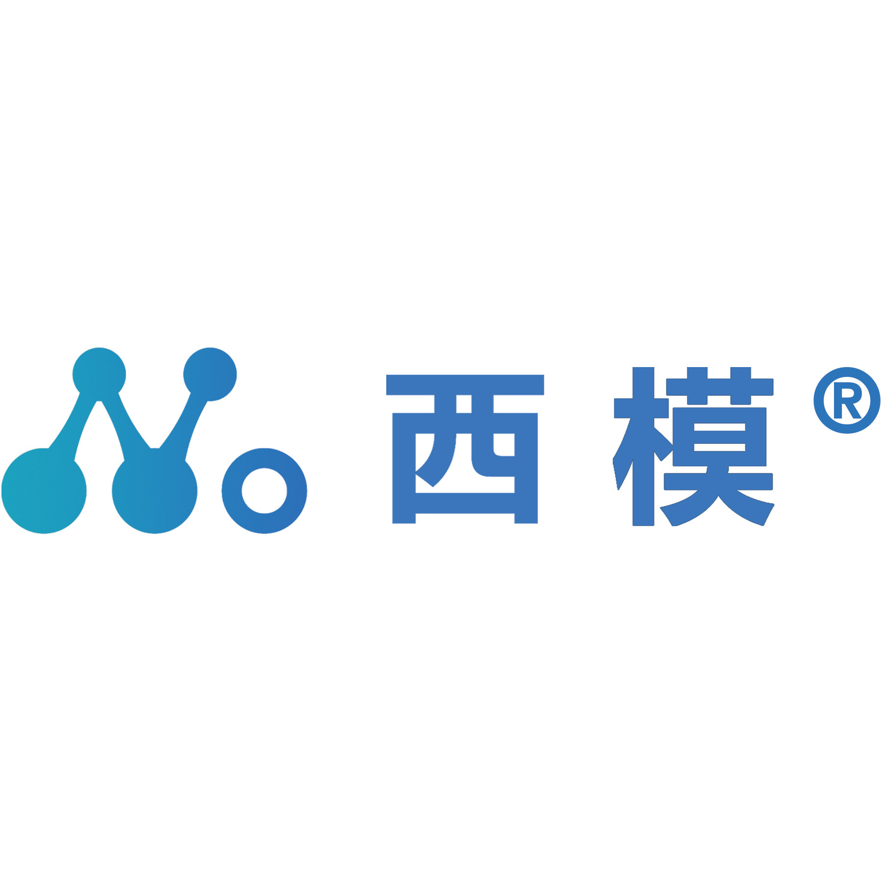 分子模型源头厂家西华教仪
