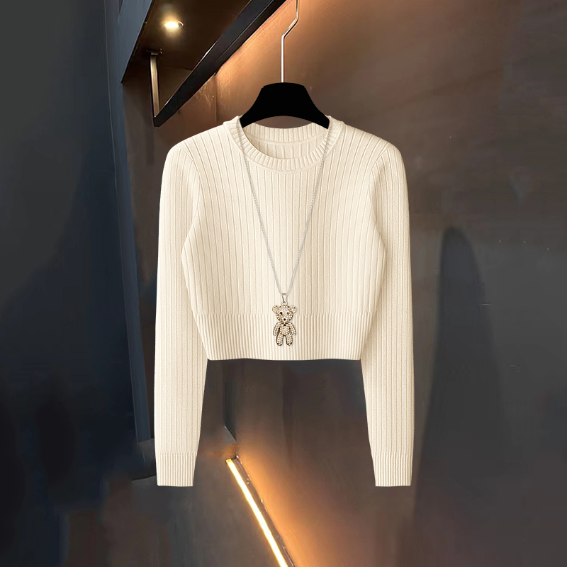 Autumn and Winter New Style Ribbed High-Waisted Short Slim-Fit Crop Top Knit Sweater Base Layer Warm Sweater for Women