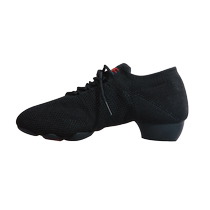 ACEdance Rose Latin Dance Teacher Shoes for Men and Women Same Style Two Point Sole Rubber Sole Fur Sole Square Dance Shoes FB269