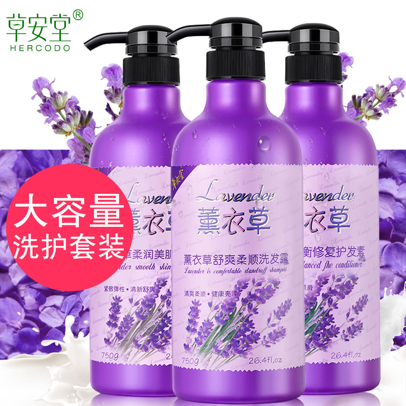 Lavender wash protective body lotion with long stay perfume shampoo shampoo body lotion for men's lady Family suit