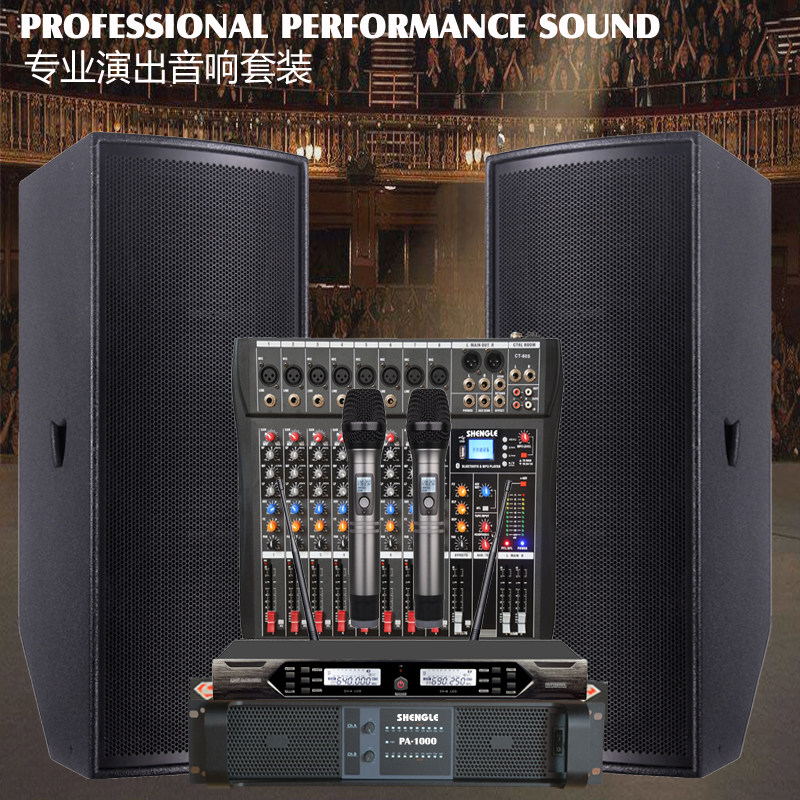 Shengli Double 15 inch stage performance speaker opening celebration conferenceshop wedding speaker project