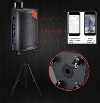 10 inch 12 inch high power outdoor active audio shop promotion square dance singing guitar conference speaker
