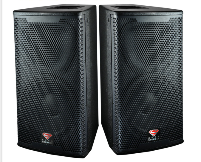 Shengle 12-inch stage speaker bar KTV conference school wedding shop audio HI room Di bar square dance