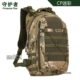 CP Color