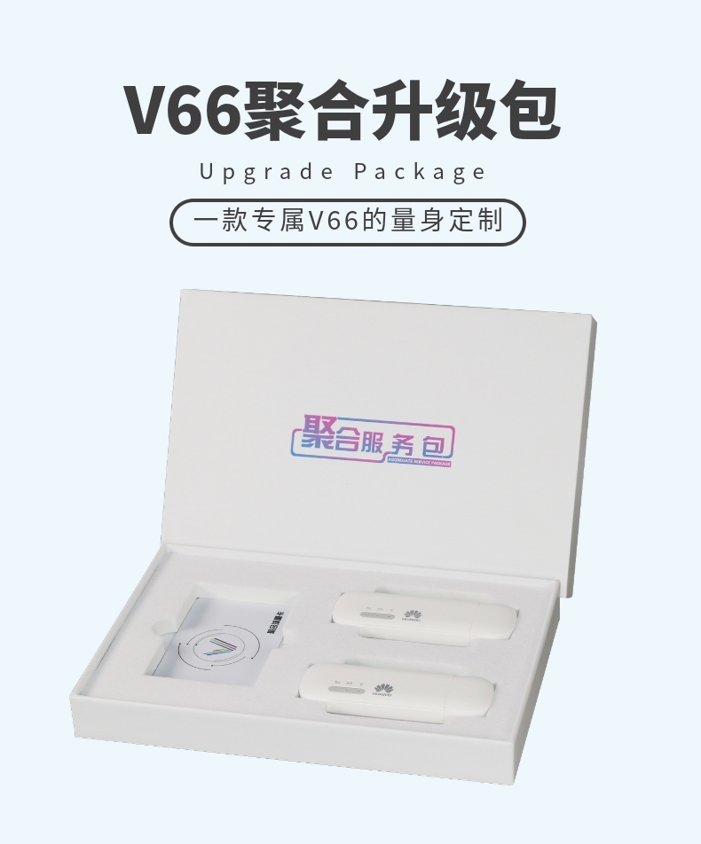 Grain and Miao Miao V66 polymerisation service Package and seedling V66 Custom Upgrade Pack three-year aggregation service Peufit