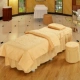 Beauty bed cover bốn mảnh set Beauty salon massage quilt cover dầu gội đặc biệt cover bed bed beauty sheet ga trải giường spa