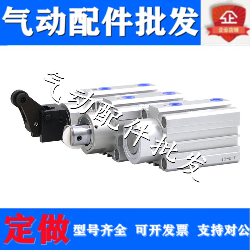 Blocking cylinder TWQ20X10 TWQ20X15 TWQ20X20C B R with locking brake cylinder with magnetic