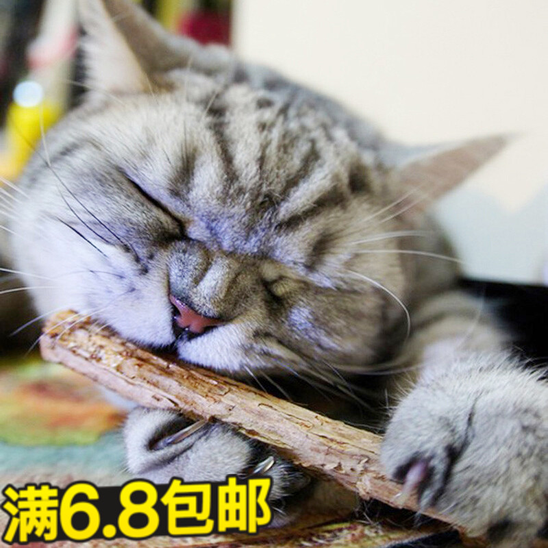 Wooden Polygonum Stick Cat Snacks Clean Teeth Grind Teeth Remove Hair Ball Universal Catnip Bite Stick 5 Packs