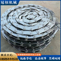 304 stainless steel chain large pitch non-standard customized double side with ears chain factory direct sales 6 divisions of industrial transmission chain