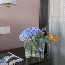 American Modern Ins Wind Nets Red Irregular Lakes Transparent Glass Vase Pendulum Pieces Living-room Flower Arrangement Water Raising Flowers