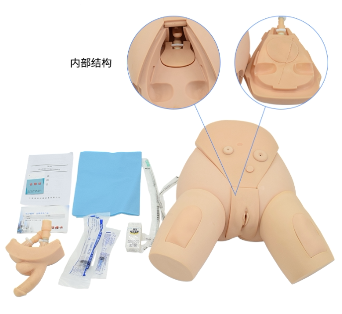 下半身导尿护理模型 整体导尿培训模型男女性导尿模型