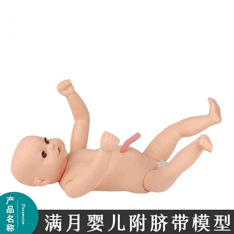 附脐带高阶出生婴儿模型 专业月嫂家政培训用娃娃