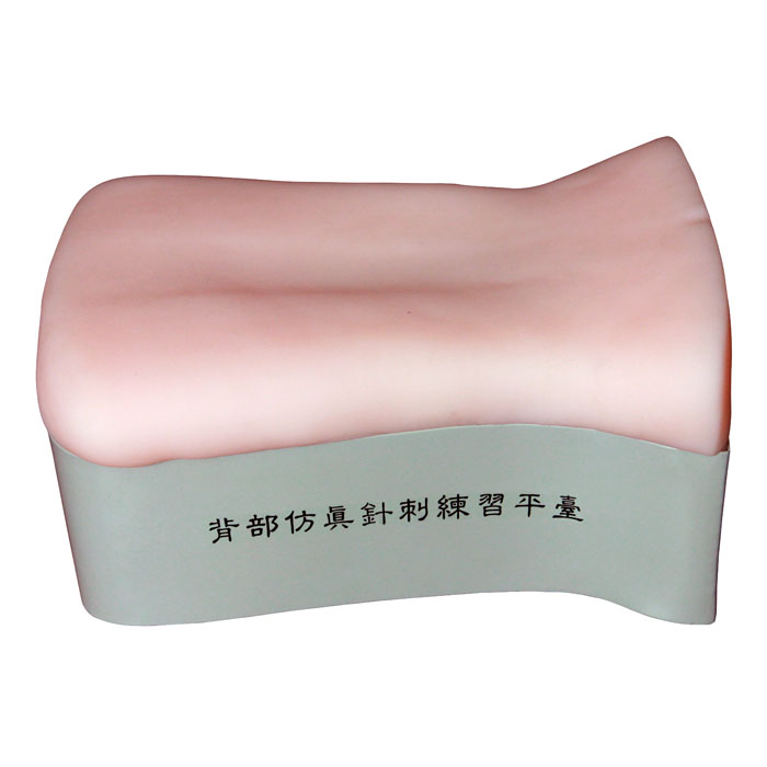 背部仿真针刺练习平台 后背部针灸针刺训练模型 背部扎针练习模型